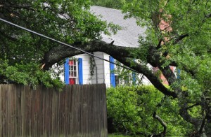 Electrical Safety: What You Should Do if Your Power Lines Come Down During a Thunderstorm